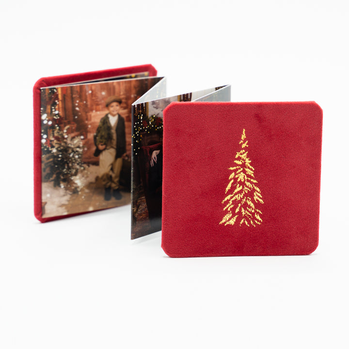 Album Acordeon pătrat cu coperta din catifea