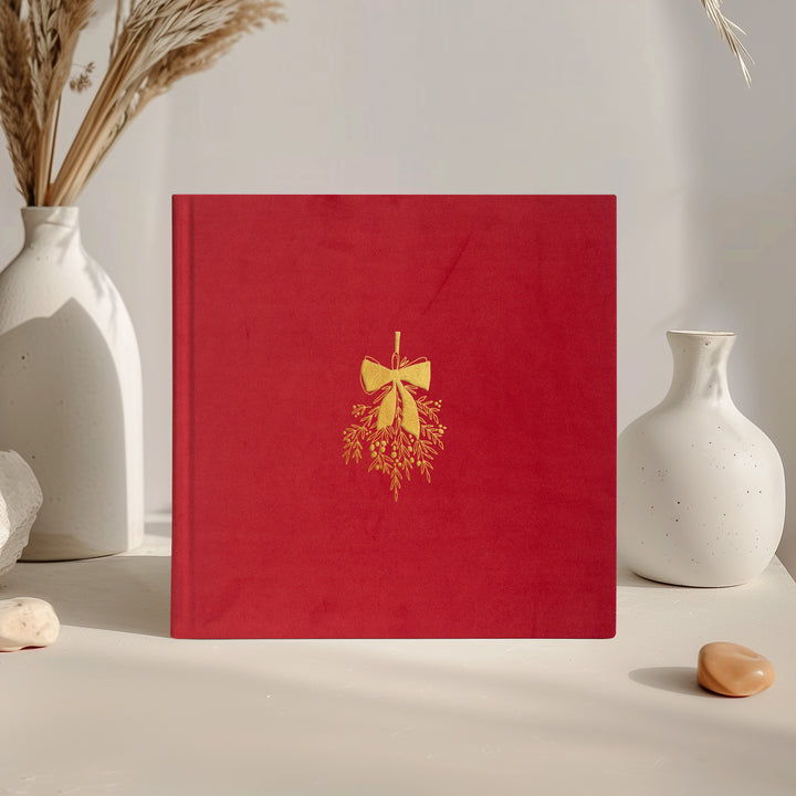 Album din catifea premium 03